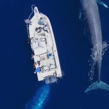 MOM AND HER BABY GOING FOR A WALK