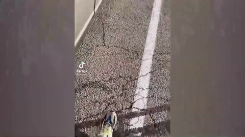If you laugh you're gay , try not to laugh