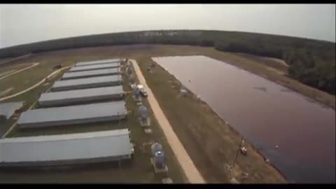 Pig Factory Farm EXPOSED by Drone