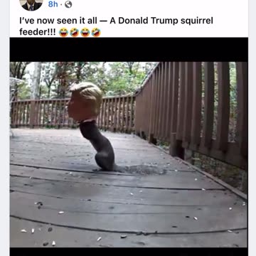 Scavino: I've seen it all now - A Donald Trump squirrel feeder!!! 🤣