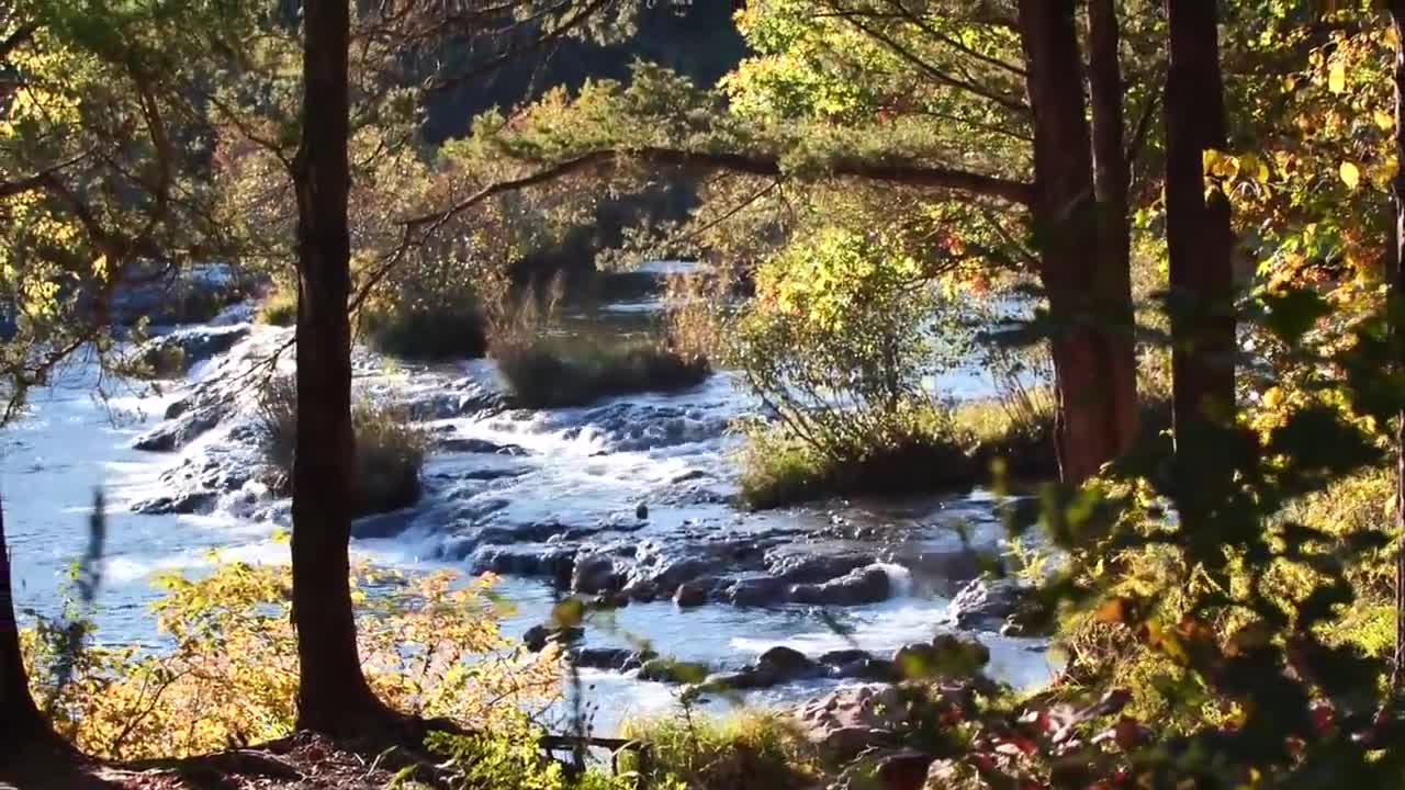 How to Catch Clean & Cook River Trout by Campfire