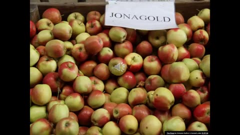Momento Malum Today Episode 102 The Origins of 3 More Canadian Apples