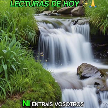 🙏✨Oración Inspirada en las Lecturas de Hoy ✨🙏