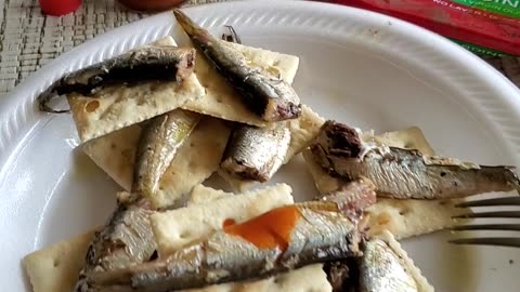 sardines and crackers