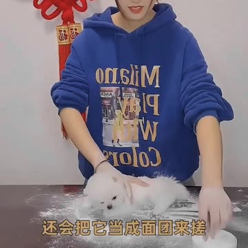 Post papular cat video