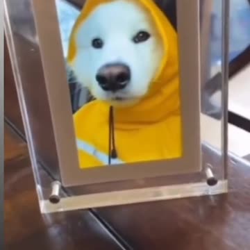 He's like that's me!