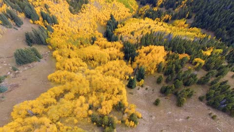 [ 4K UHD ] Watch the Amazing Colors of Autumn and Listen to Relaxing Music