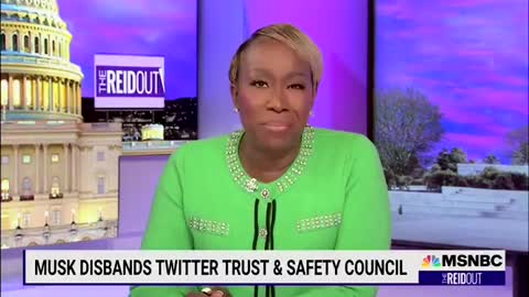 Furious Joy Reid Goes On INSANE Rant As Elon Musk Fights For Free Speech