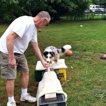 Ruff Cut PodCast: Raised Platform and Balance Beam part 1;7