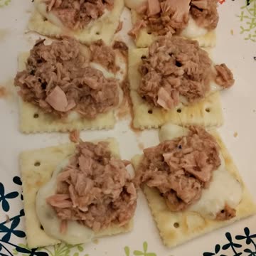 Eating Starkist Chunk Light Tuna, Dbn, MI, 8/29/23