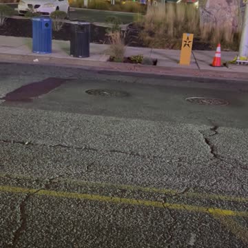 OMG! There is a Turtle in The Street! OH NO!