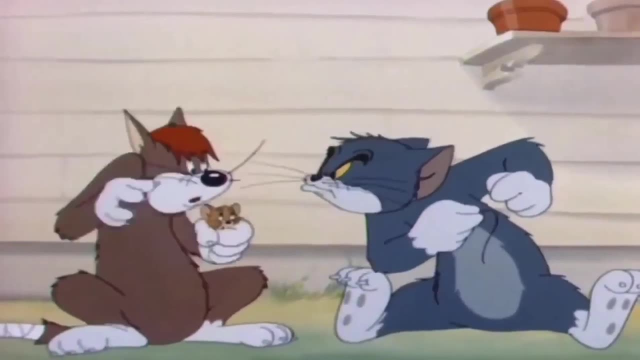 Tom and Jerry- Funny Compilation | Funny Video