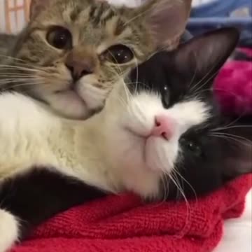 Cuddles on a Sunday morning 😍👍