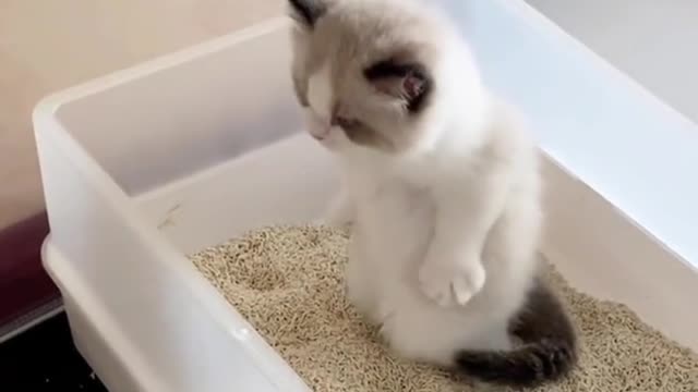 Look at his expression !! So adorable