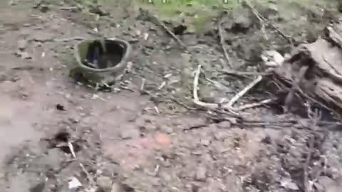 Preempt several 10,000s more this year.