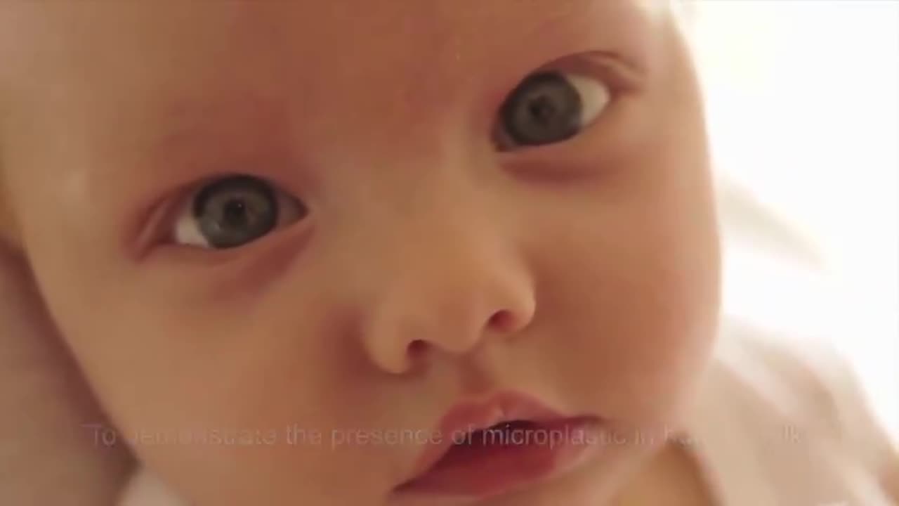 We're All Plastic People Now