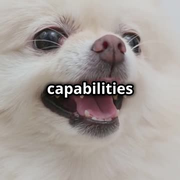 Dangerous Dog Breeds with the Strongest Bites Revealed