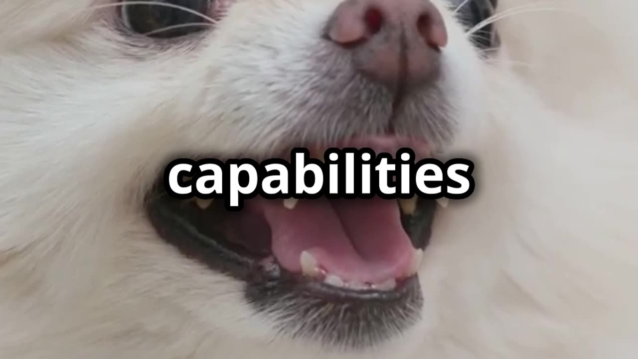 Dangerous Dog Breeds with the Strongest Bites Revealed