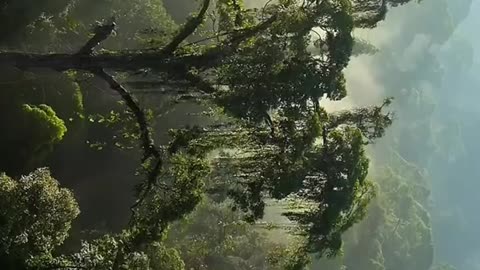 Earth