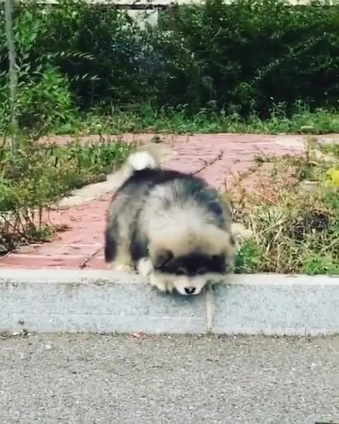 FAMILY KI SUPER POWERS | Comedy family video | Edible slime | Aayu and Pihu Show