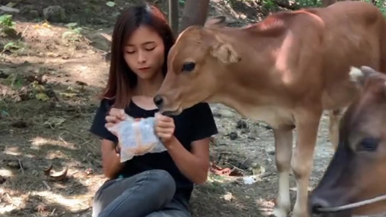 Practice eating bread at the farm.