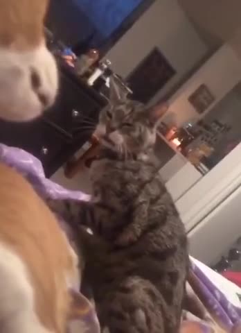 The enemy does not sleep!!! 🤣🤣🤣