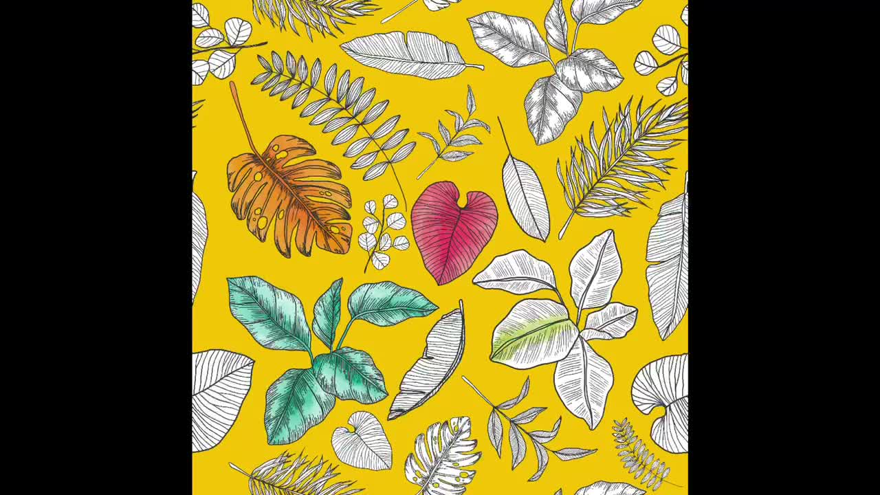 Leaf Pattern Time-Lapse FUN!