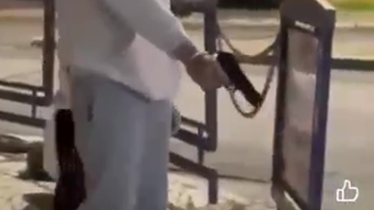 Odivelas - Indostânico compatriota filma-se com uma pistola a disparar tiros na via pública