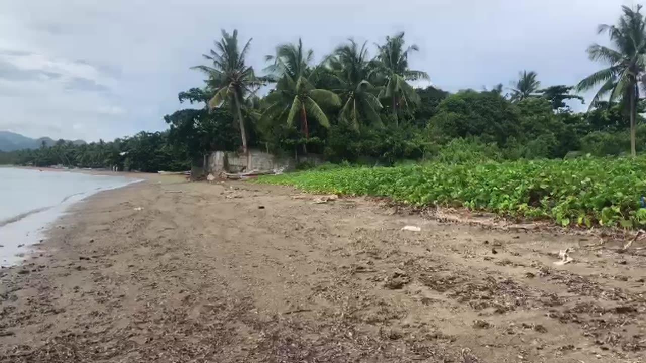 1 minute on the beach