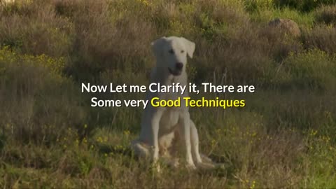 Brain Training for Dogs Review