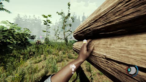 The Forest Pt.24