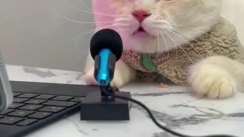 ONE OF THREE TESTING THE CAT WHO WANTED TO BE A ANNOUNCER