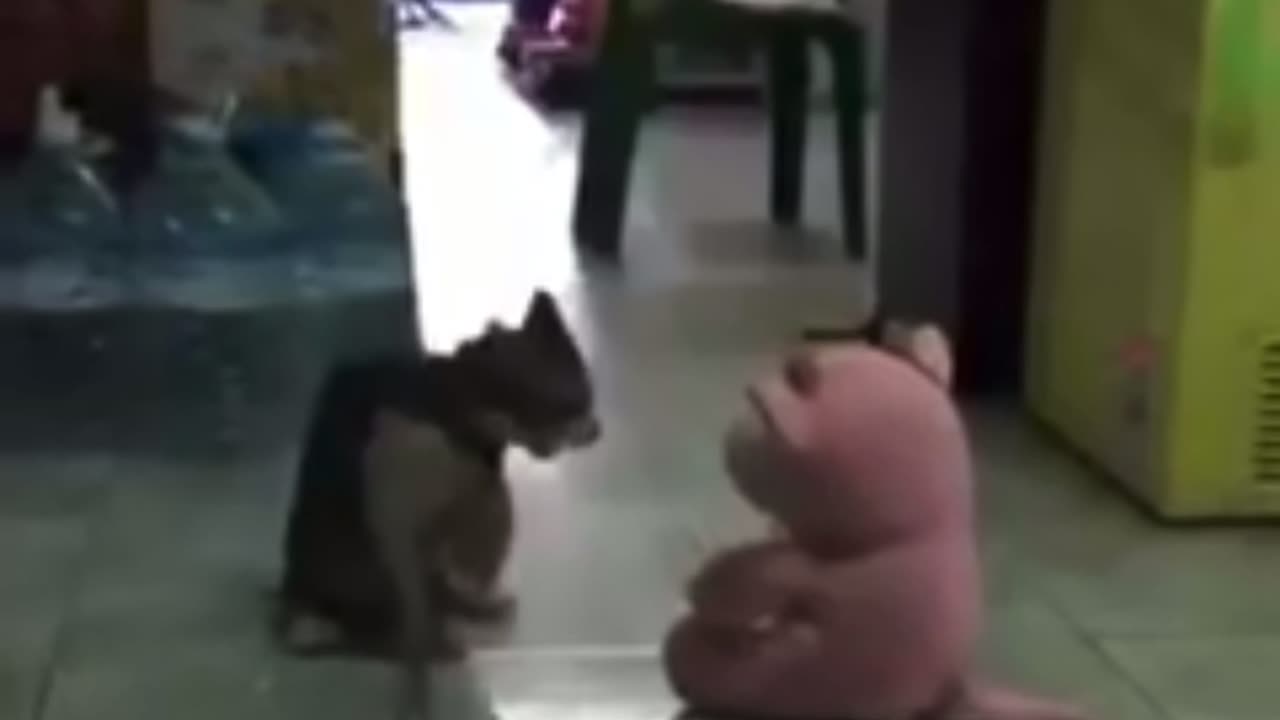 Kill him ðŸ˜ðŸ˜±ðŸ˜± #youtube #rumble #viral