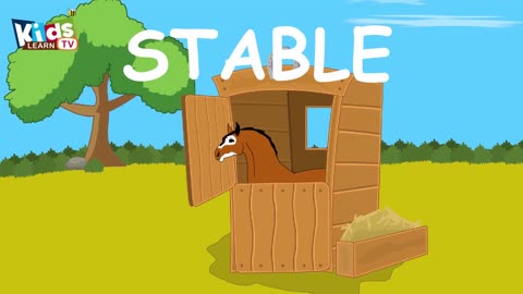 Animals Homes - Kids Learn Tv