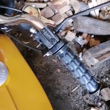 funny|prank|jokes|funny jokes|dad jokes|funny memes|funny video|fun|laughing|funny animal|knock