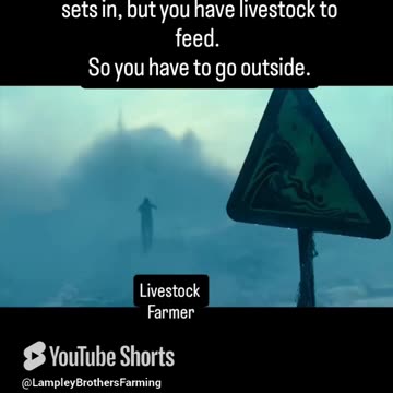 Feeding livestock in the winter