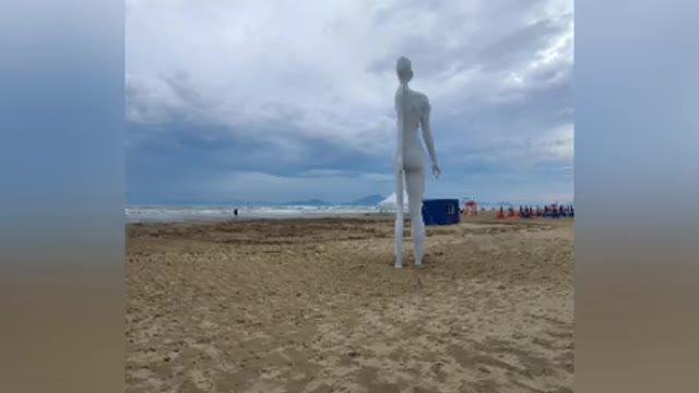 Flying a kite by the seashore