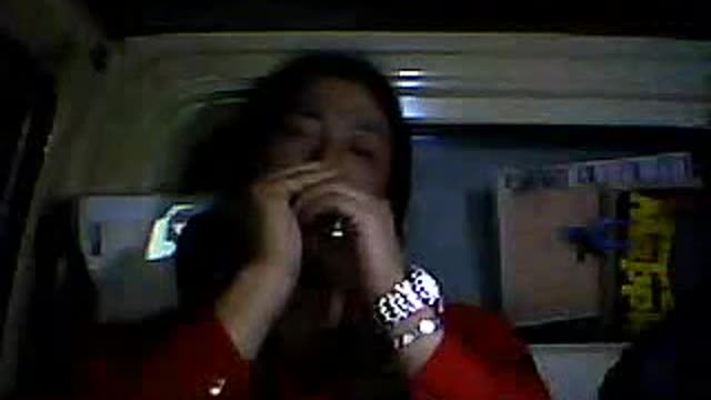 leon russell cover a song for you...tomozo