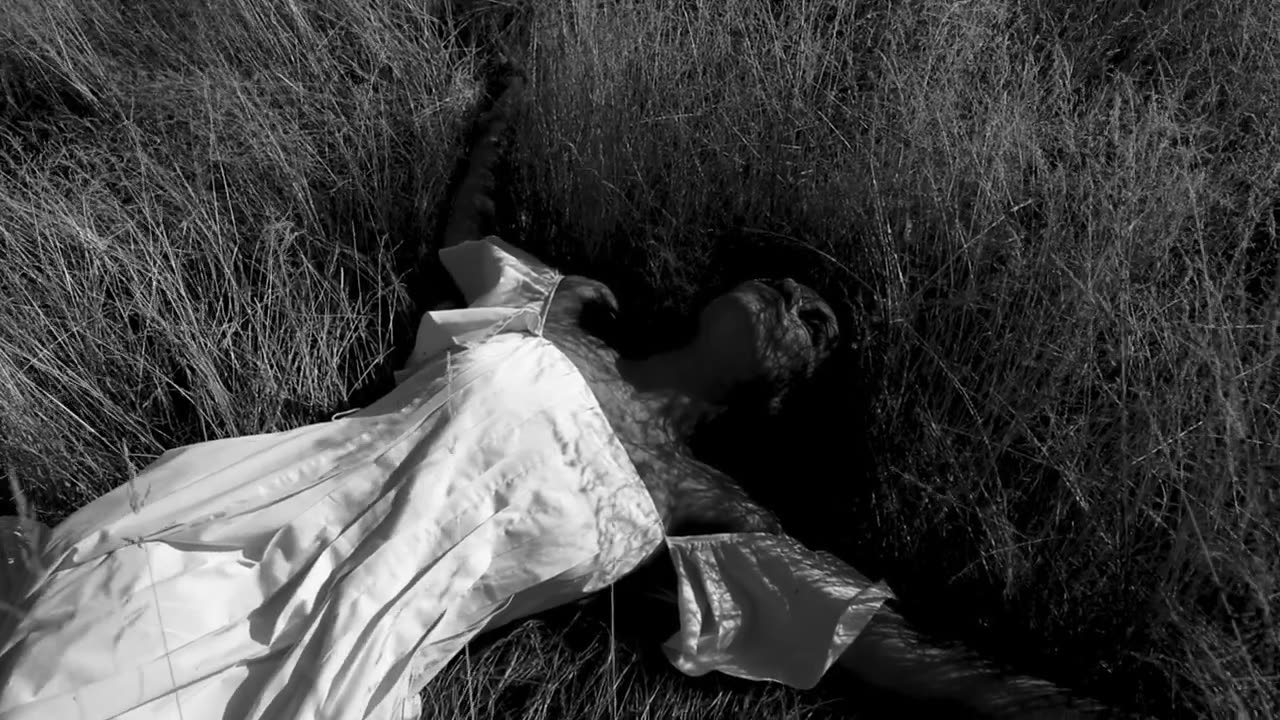 Buka Zerin by Tara Mamedova