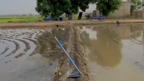 Jaat Farming #farming