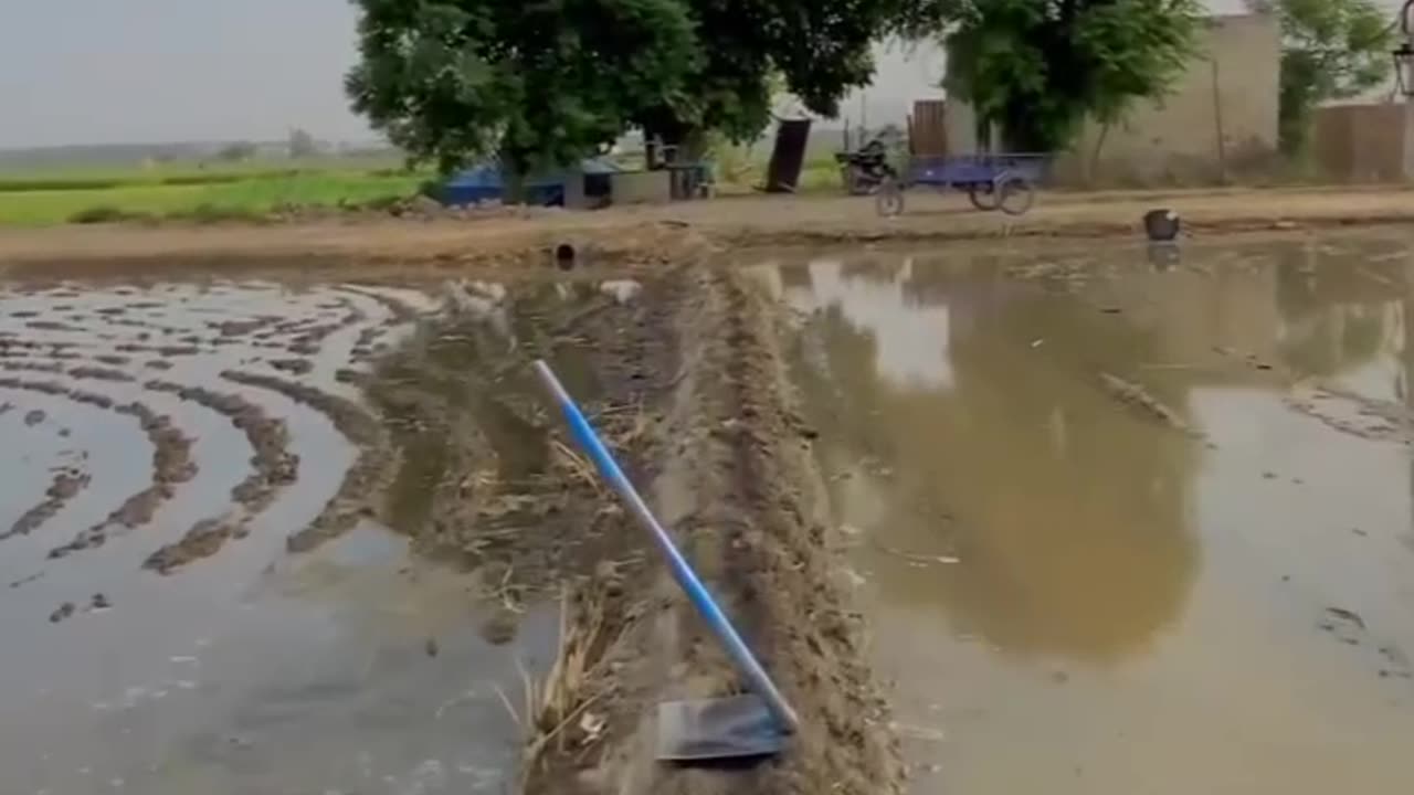 Jaat Farming #farming