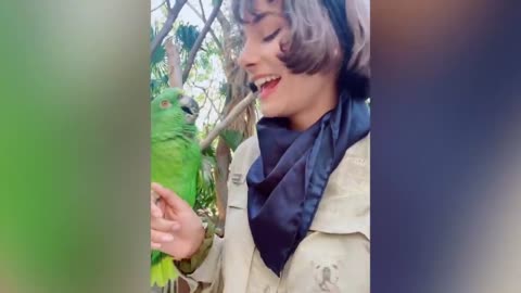 Super cute and smart parrot