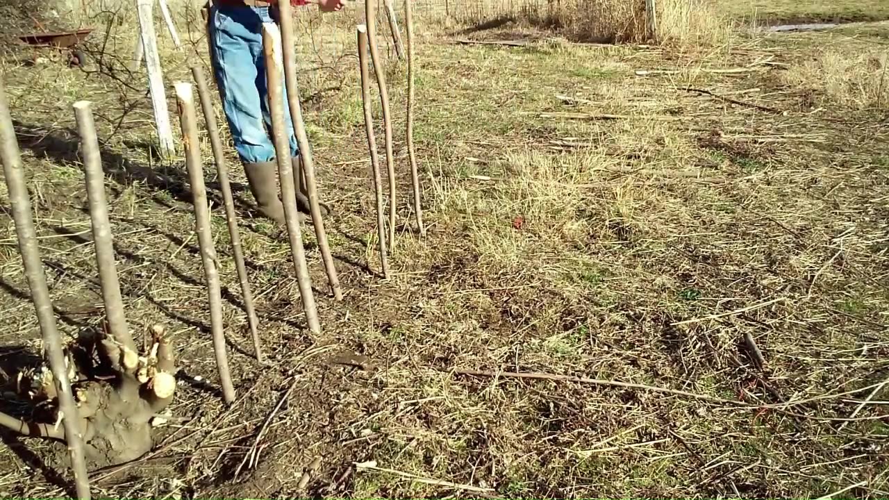 Making a better wattle fence.