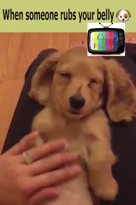 When someone rubs your belly