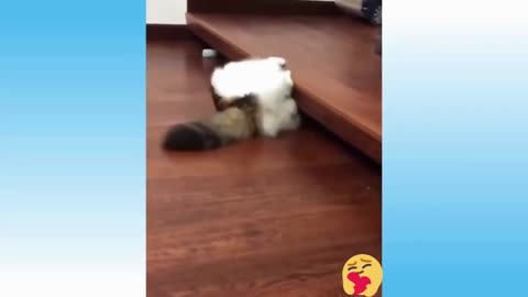 Funny Animals and Cute Pets Compilation | Funny Pets😅😍