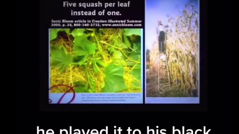 Frequencies For Your Plants