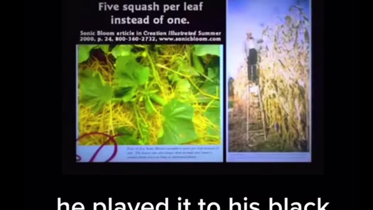 Frequencies For Your Plants