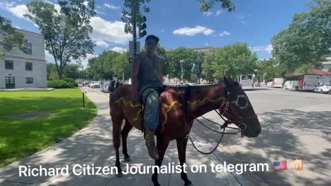 Horse in DC