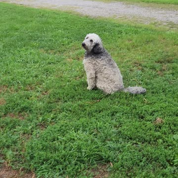 Nestle Jane Playing in the Rain