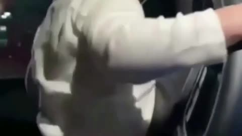 Funny video of baby driving car